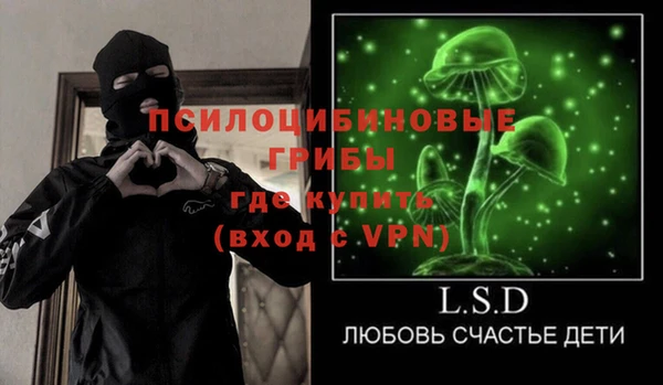 мяу мяу мука Арсеньев