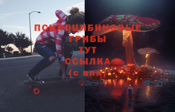 прущая мука Армянск